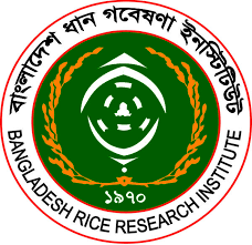 Bangladesh Rice Research Institute (BRRI) Job Circular October 2025